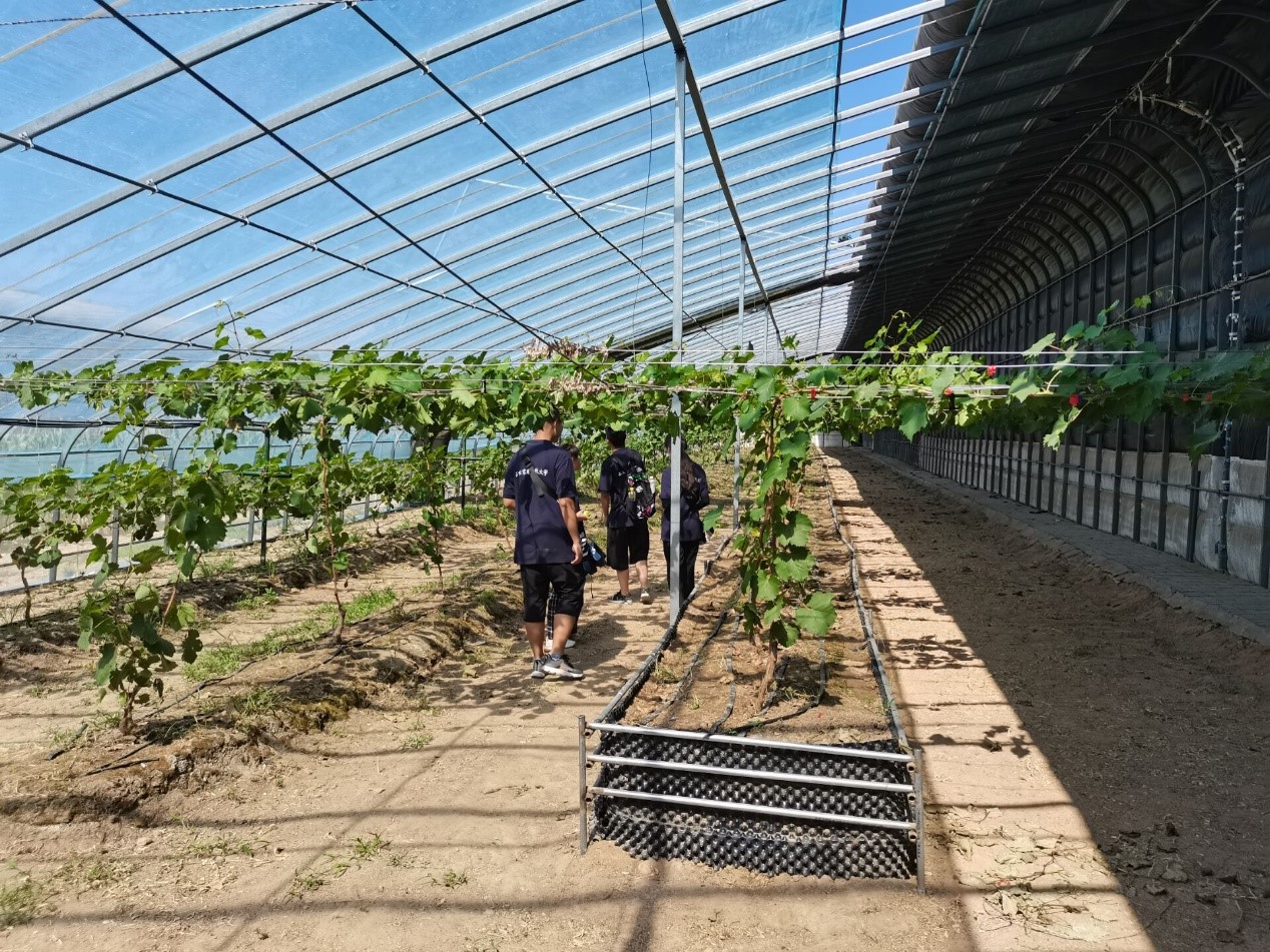 d5596d22a3734ddaac0a7dbb6acedc4e.jpg d5596d22a3734ddaac0a7dbb6acedc4e.jpg