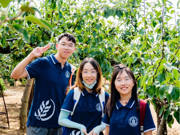 c05179ef53674c5b991938e4996ebf02.png c05179ef53674c5b991938e4996ebf02.png