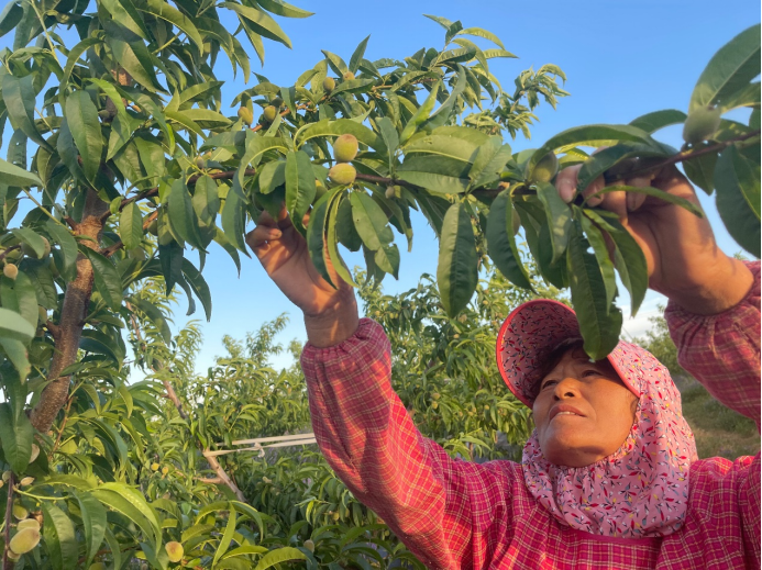 608066dadce74f23b673171304e2ac29.png 608066dadce74f23b673171304e2ac29.png