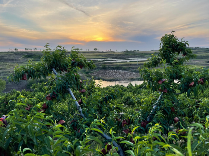 78a4fea653b94bc287cac6415c3c1dcd.png 78a4fea653b94bc287cac6415c3c1dcd.png