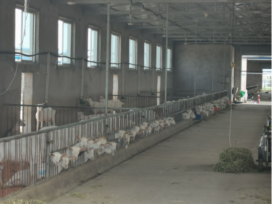 86ca0d8d30a5444281f1f1c9b59d3fa2.png 86ca0d8d30a5444281f1f1c9b59d3fa2.png