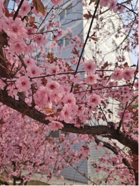 4132f91eba52470f9b256950bb1f4c18.png 4132f91eba52470f9b256950bb1f4c18.png