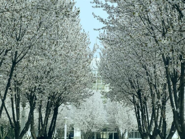 97ba06a2f3504934b0e83c282502fae2.jpg 97ba06a2f3504934b0e83c282502fae2.jpg