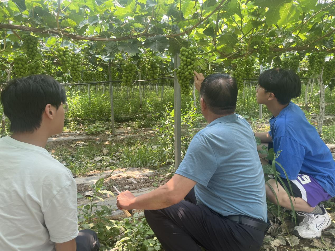 839338f6792a4400a8f4deb97aa19ad3.png 839338f6792a4400a8f4deb97aa19ad3.png