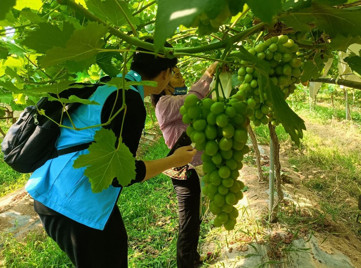 ba86a9623a50443ab9270d054175570e.jpg ba86a9623a50443ab9270d054175570e.jpg